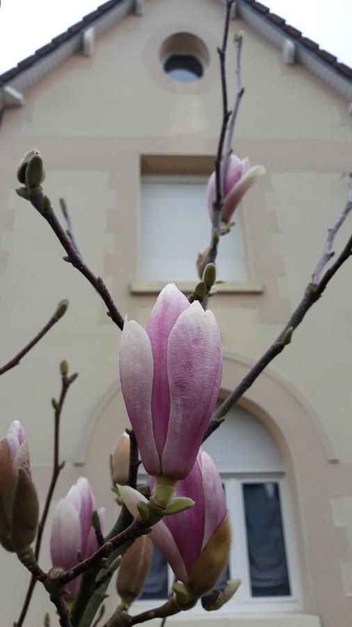 Le Gite Du Magnolia Willerval Eksteriør billede